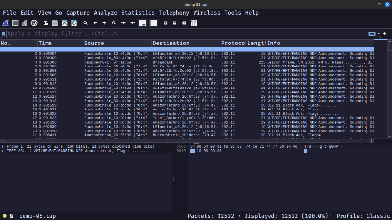 Wireshark View